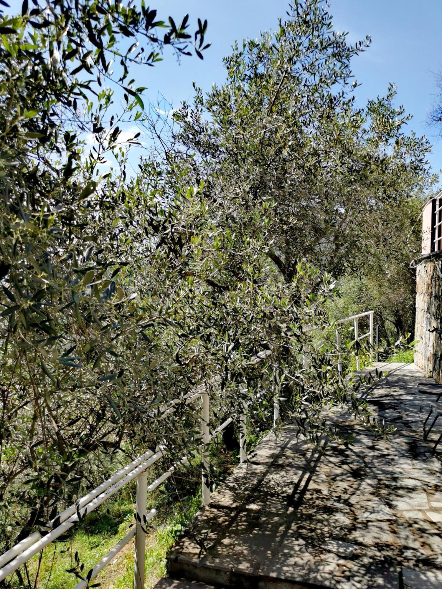 Villa Casun Du Menegottu à Sestri Levante Extérieur photo